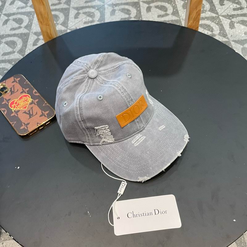 Dior cap (30)